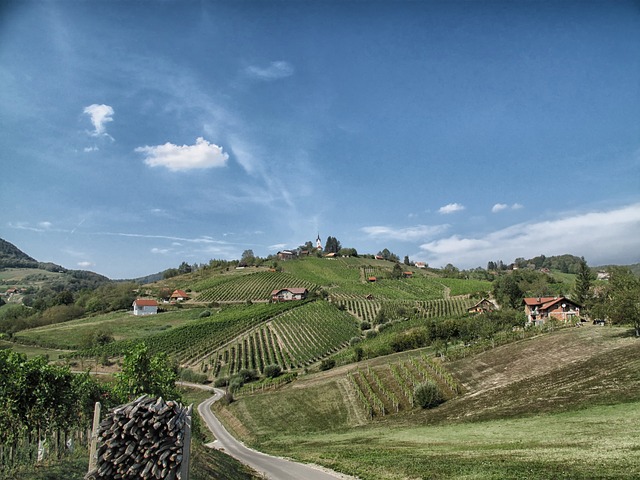 bizeljsko-g6f7c12c06_640