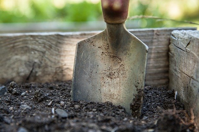 garden-1176406_640