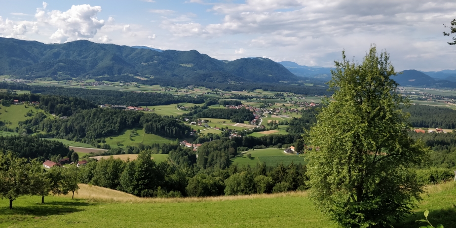 IMG_20190714_165142