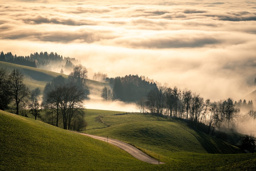 lavanttal-5988332_1920