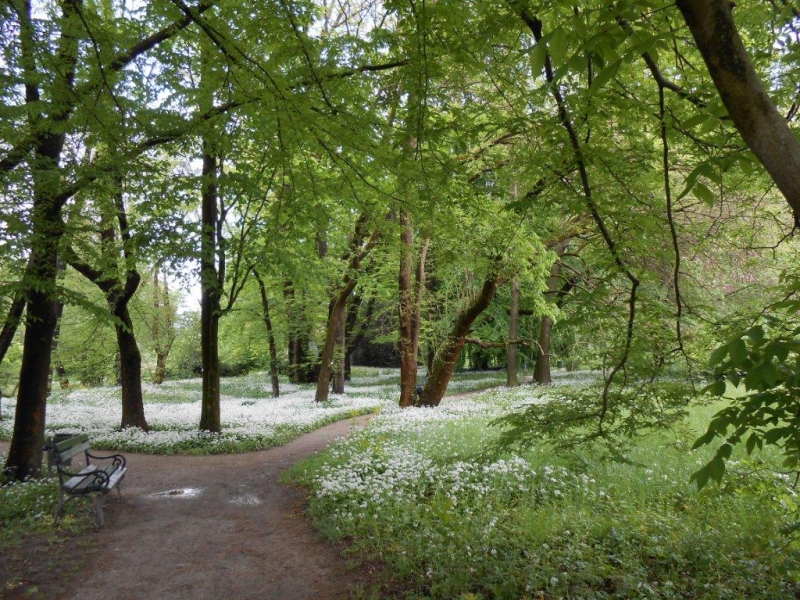 Pomlad_v_Botani%C4%8Dnem_vrtu