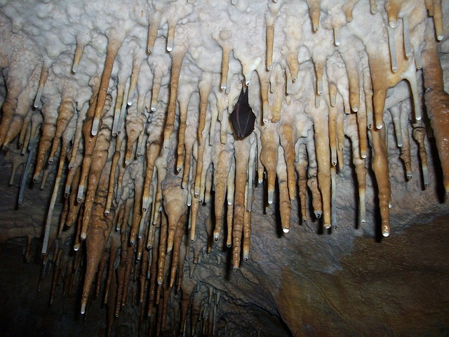 stalactites-323562_640